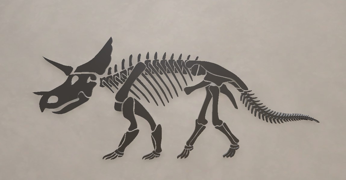 Fossil Exhibit